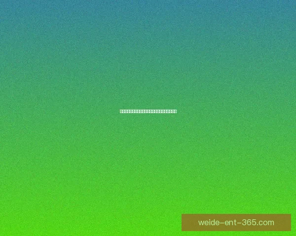 美加墨联合世界杯举办城市风貌与文化魅力全景解析 美加墨联合世界杯举办城市风貌与文化魅力全景解析